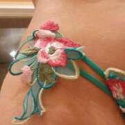 ヒメ日記 2025/10/07 07:42 投稿 なお 妖精（ようせい）