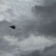 ヒメ日記 2025/10/12 15:28 投稿 なお 妖精（ようせい）