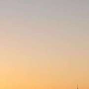 ヒメ日記 2025/10/17 05:59 投稿 なお 妖精（ようせい）