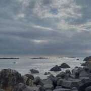 ヒメ日記 2025/10/19 14:26 投稿 なお 妖精（ようせい）