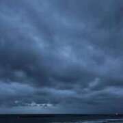 ヒメ日記 2025/10/19 17:44 投稿 なお 妖精（ようせい）