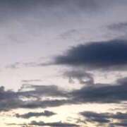 ヒメ日記 2025/10/24 06:01 投稿 なお 妖精（ようせい）