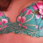 ヒメ日記 2025/10/27 07:42 投稿 なお 妖精（ようせい）