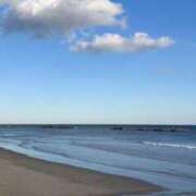 ヒメ日記 2025/10/29 09:47 投稿 なお 妖精（ようせい）