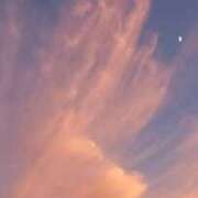 ヒメ日記 2025/10/29 17:08 投稿 なお 妖精（ようせい）