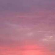 ヒメ日記 2025/10/31 07:36 投稿 なお 妖精（ようせい）