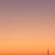 ヒメ日記 2025/11/07 05:58 投稿 なお 妖精（ようせい）