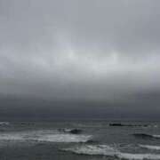 ヒメ日記 2025/11/09 17:11 投稿 なお 妖精（ようせい）