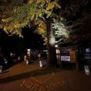 ヒメ日記 2025/11/12 22:54 投稿 なお 妖精（ようせい）