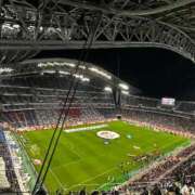 ヒメ日記 2025/11/15 11:51 投稿 なお 妖精（ようせい）