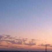 ヒメ日記 2025/11/16 17:31 投稿 なお 妖精（ようせい）