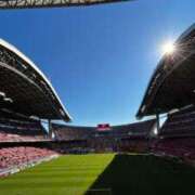 なお 良かった♪ 妖精（ようせい）