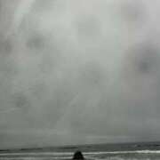 ヒメ日記 2025/12/21 13:14 投稿 なお 妖精（ようせい）