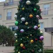 ヒメ日記 2025/12/24 20:59 投稿 なお 妖精（ようせい）