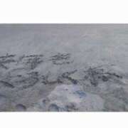 ヒメ日記 2025/12/31 16:32 投稿 なお 妖精（ようせい）