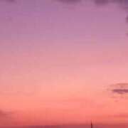 ヒメ日記 2026/01/05 07:36 投稿 なお 妖精（ようせい）