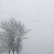 ヒメ日記 2026/01/11 13:22 投稿 なお 妖精（ようせい）