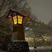 ヒメ日記 2026/01/11 22:22 投稿 なお 妖精（ようせい）