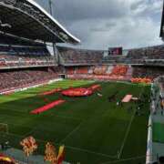 ヒメ日記 2026/02/08 21:08 投稿 なお 妖精（ようせい）