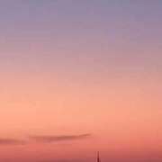 ヒメ日記 2026/02/16 06:25 投稿 なお 妖精（ようせい）