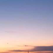 ヒメ日記 2026/02/20 06:15 投稿 なお 妖精（ようせい）