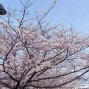 ヒメ日記 2026/03/28 21:55 投稿 なお 妖精（ようせい）