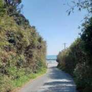 ヒメ日記 2026/04/08 14:43 投稿 なお 妖精（ようせい）