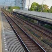 ヒメ日記 2026/04/19 07:27 投稿 なお 妖精（ようせい）