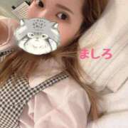 ヒメ日記 2025/06/25 17:43 投稿 ましろ 妖精（ようせい）