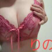 ヒメ日記 2025/09/08 19:38 投稿 りの 妖精（ようせい）