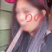 ヒメ日記 2025/11/16 15:32 投稿 りの 妖精（ようせい）