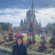 ヒメ日記 2025/11/23 15:08 投稿 りの 妖精（ようせい）