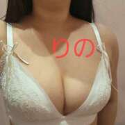 ヒメ日記 2026/01/17 18:10 投稿 りの 妖精（ようせい）