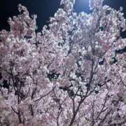 ヒメ日記 2026/04/06 23:55 投稿 りの 妖精（ようせい）