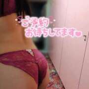 ヒメ日記 2026/06/21 23:35 投稿 りの 妖精（ようせい）