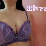 ヒメ日記 2026/07/21 20:06 投稿 りの 妖精（ようせい）