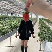 ヒメ日記 2025/07/15 17:26 投稿 ひめ セグレターリオ