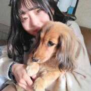 ヒメ日記 2025/07/15 17:32 投稿 ひめ セグレターリオ