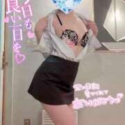 ヒメ日記 2025/06/30 08:59 投稿 はるの 妖精（ようせい）