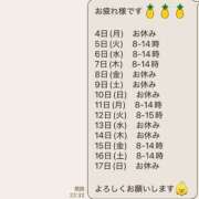 ヒメ日記 2025/07/29 10:51 投稿 かぐや 妖精（ようせい）