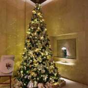 ヒメ日記 2025/11/17 13:55 投稿 かぐや 妖精（ようせい）