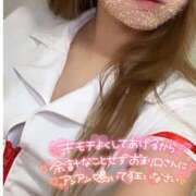 ヒメ日記 2025/07/26 12:50 投稿 モモ 妖精（ようせい）