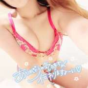 ヒメ日記 2025/08/08 08:15 投稿 モモ 妖精（ようせい）