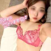 ヒメ日記 2025/09/02 09:36 投稿 モモ 妖精（ようせい）