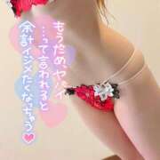 ヒメ日記 2025/09/10 09:44 投稿 モモ 妖精（ようせい）