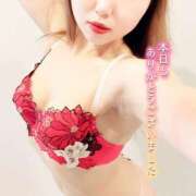 ヒメ日記 2025/10/04 18:40 投稿 モモ 妖精（ようせい）