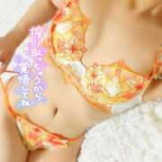 ヒメ日記 2025/10/08 17:48 投稿 モモ 妖精（ようせい）