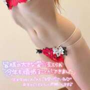 ヒメ日記 2025/12/31 12:21 投稿 モモ 妖精（ようせい）