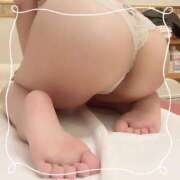 ヒメ日記 2026/01/16 20:00 投稿 モモ 妖精（ようせい）