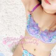 ヒメ日記 2026/01/19 15:07 投稿 モモ 妖精（ようせい）